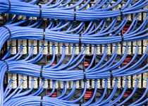 Backbone IT Cabling